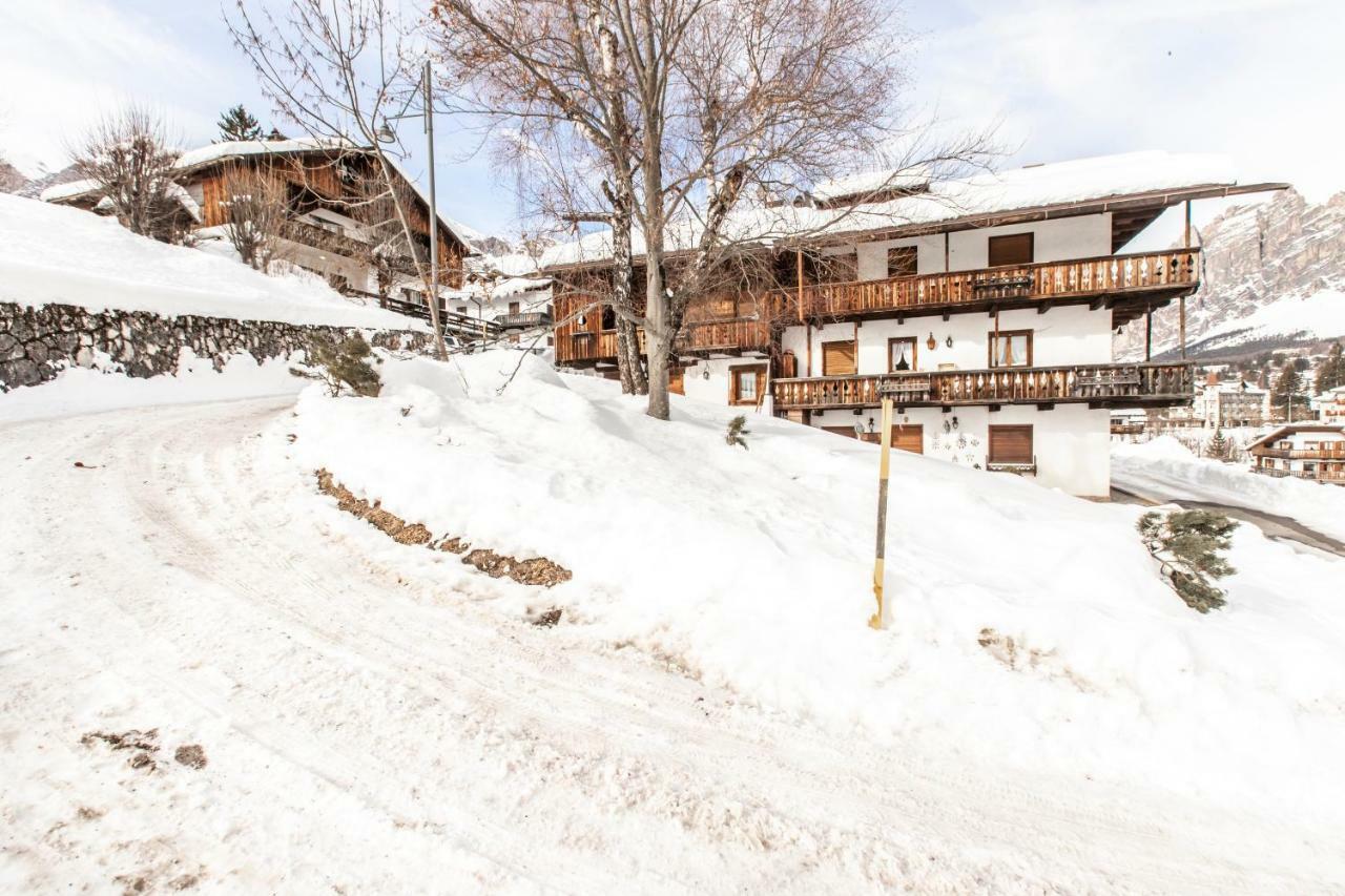 Dolomiti Sweet Lodge Cortina dʼAmpezzo Zewnętrze zdjęcie